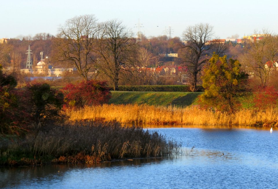 Gdańsk bastion Wilk 008