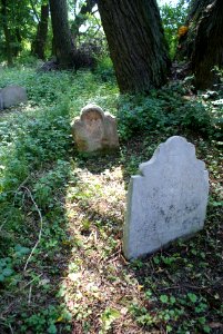 Old Jewish cemetery in Hostouň 08