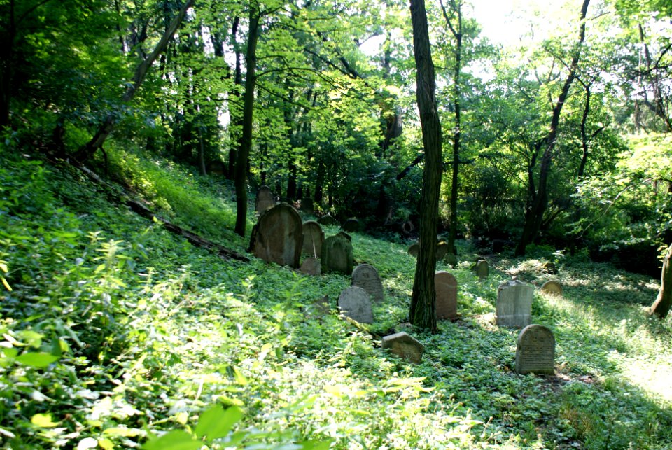 Old Jewish cemetery in Hostouň 03