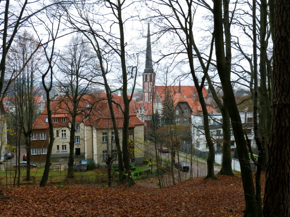 Gdańsk kościół Matki Bożej Królowej Korony Polskiej 3