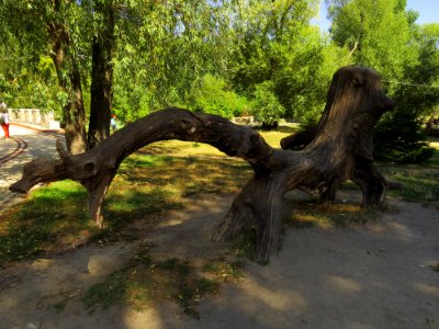 Feofania park14