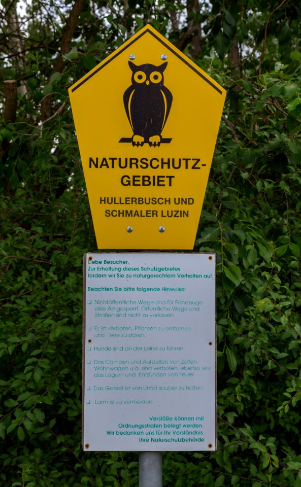 Feldberger Seenlandschaft NSG Hullerbusch und Schmaler Luzin 04