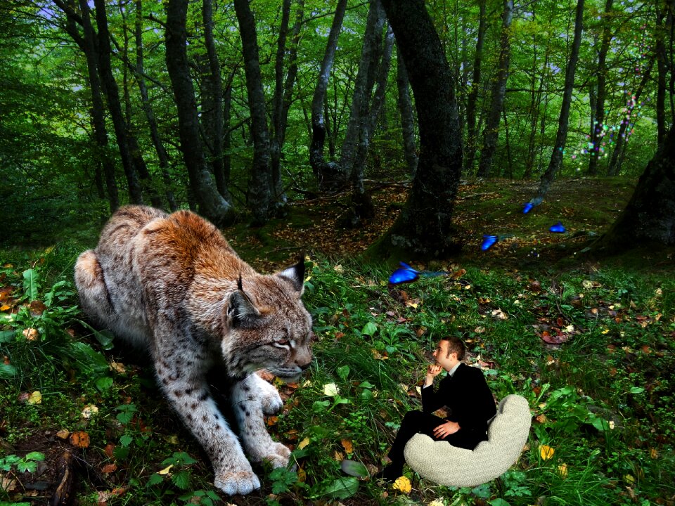 Lynx photomontage creative