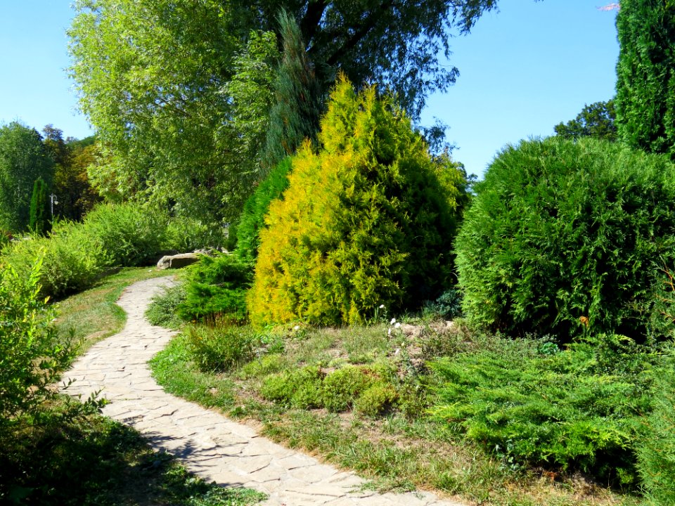 Feofania park10