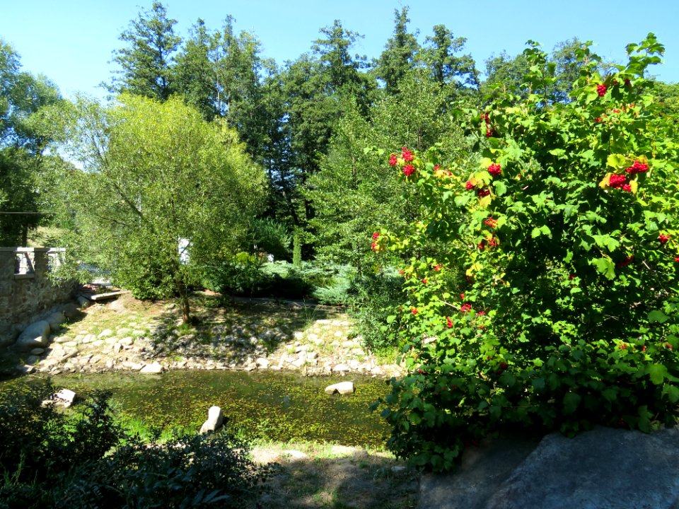 Feofania park18