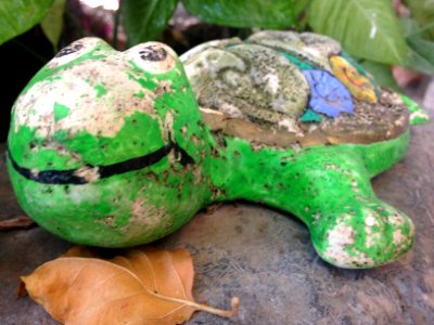 Figure of a frog