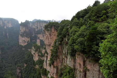 Zhangjiajie wulingyuan quartz sandstone peak woodland landscape
