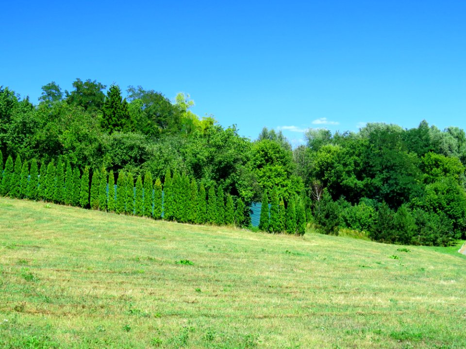 Feofania park1
