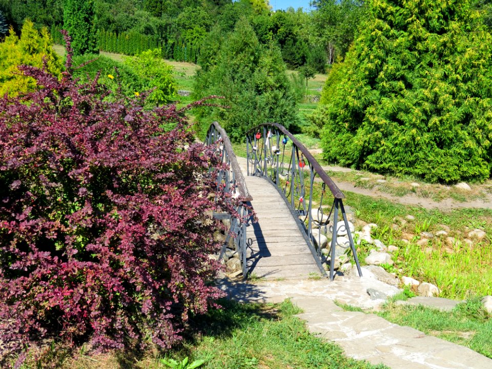 Feofania park11