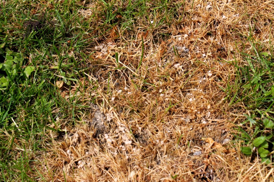 Fertilizer NPK 014