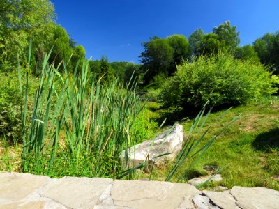 Feofania park9