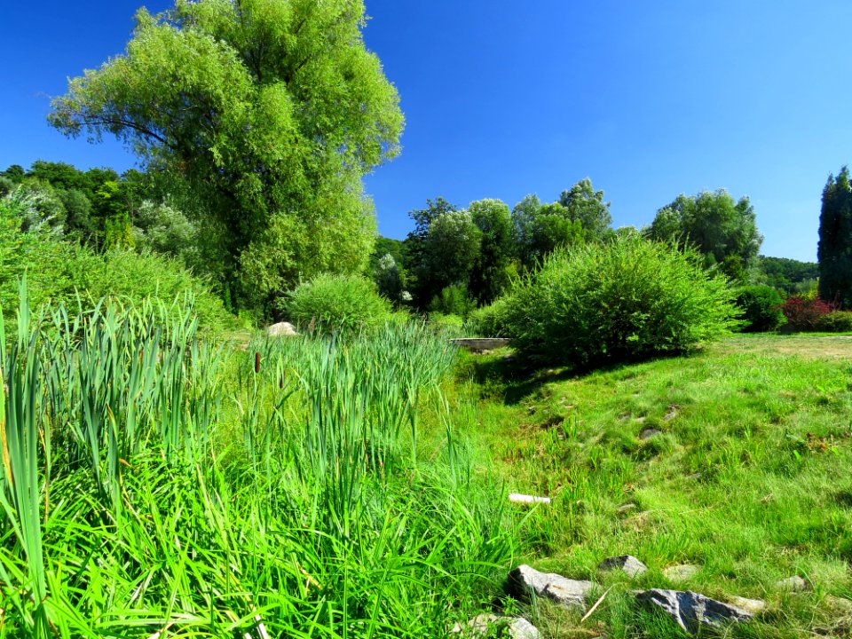 Feofania park7