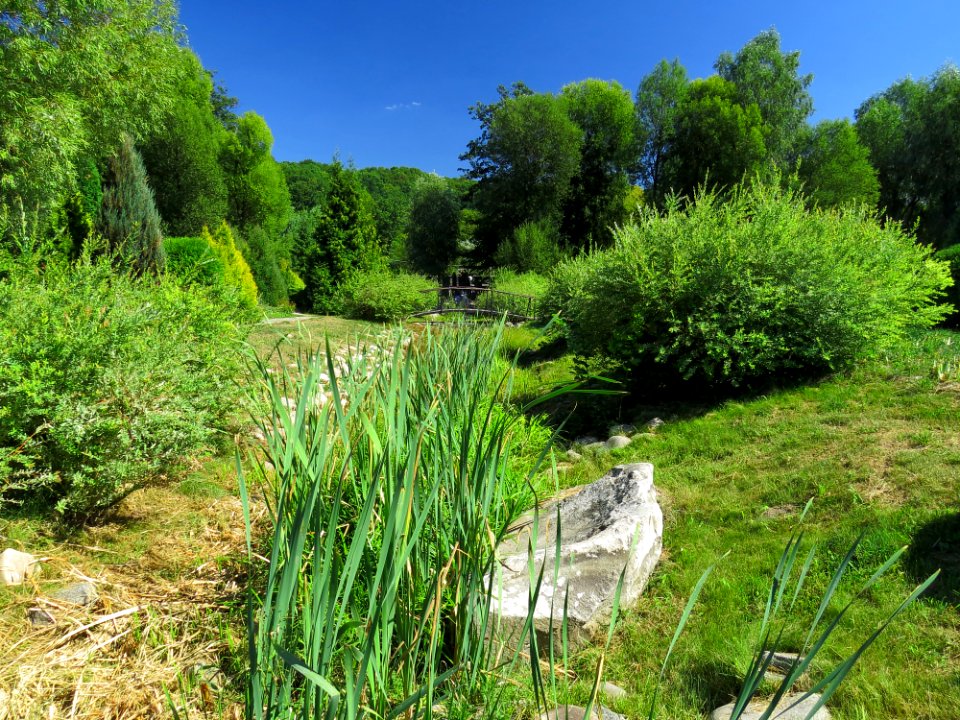 Feofania park8