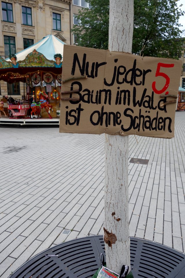 Extinction Rebellion, Nur jeder 5. Baum im Wald ist ohne Schäden. Düsseldorf, 25. August 2020