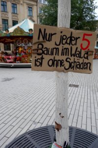Extinction Rebellion, Nur jeder 5. Baum im Wald ist ohne Schäden. Düsseldorf, 25. August 2020