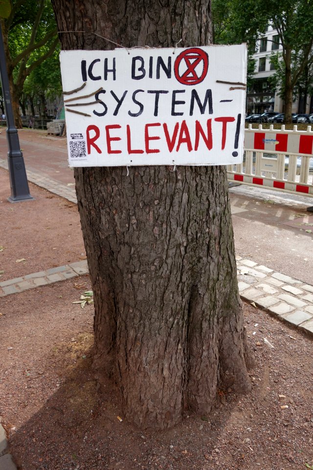 Extinction Rebellion, Ich bin systemrelevant!. Düsseldorf, 21. August 2020