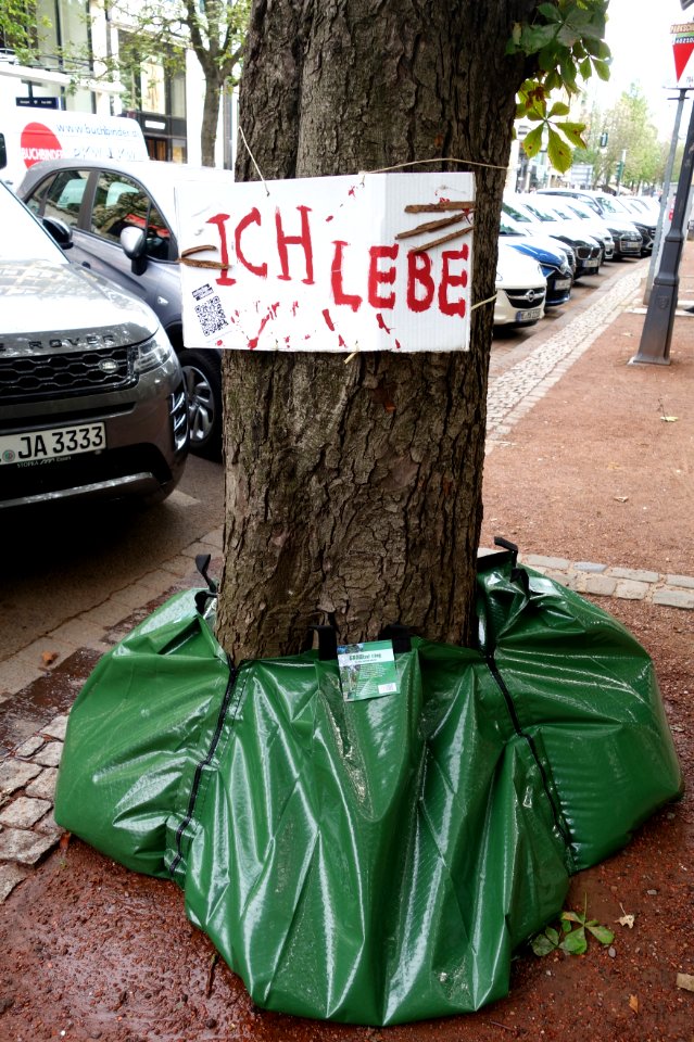 Extinction Rebellion, Ich lebe. Düsseldorf, 20. August 2020
