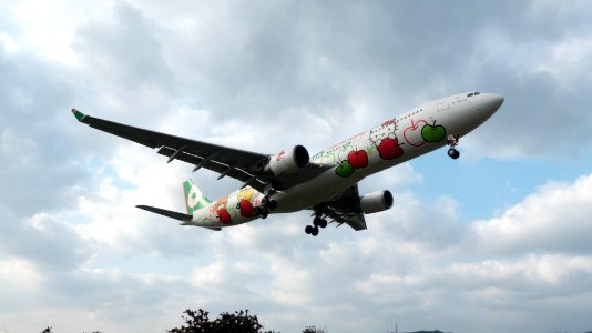 EVA Air A330-302X B-16332 Final Approach to Taipei Songshan Airport 20150101b