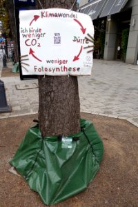 Extinction Rebellion, Klimawandel - ich binde weniger CO2 - weniger Fotosynthese. Düsseldorf, 7. Oktober 2020