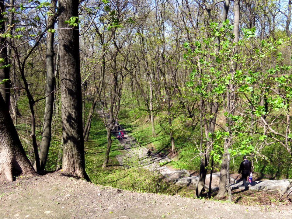 Fomin botanical garden SE