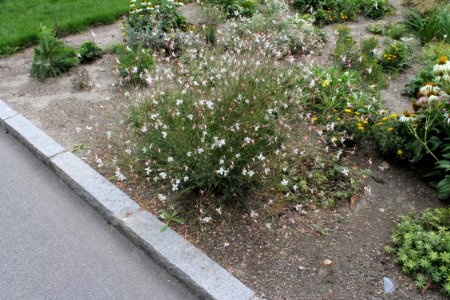 Flora Olomouc 2014 231