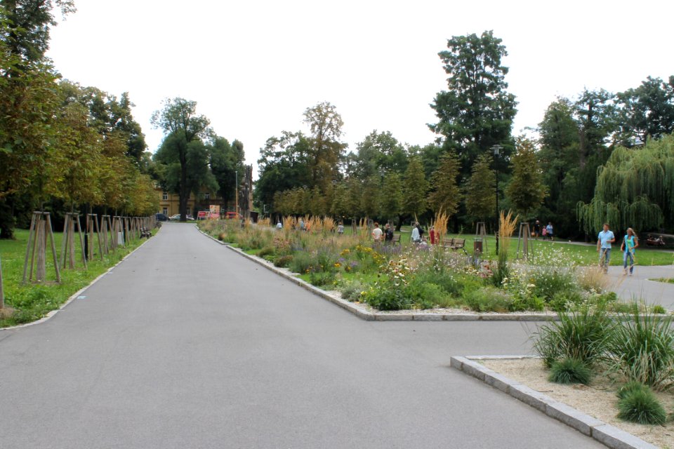 Flora Olomouc 2014 232