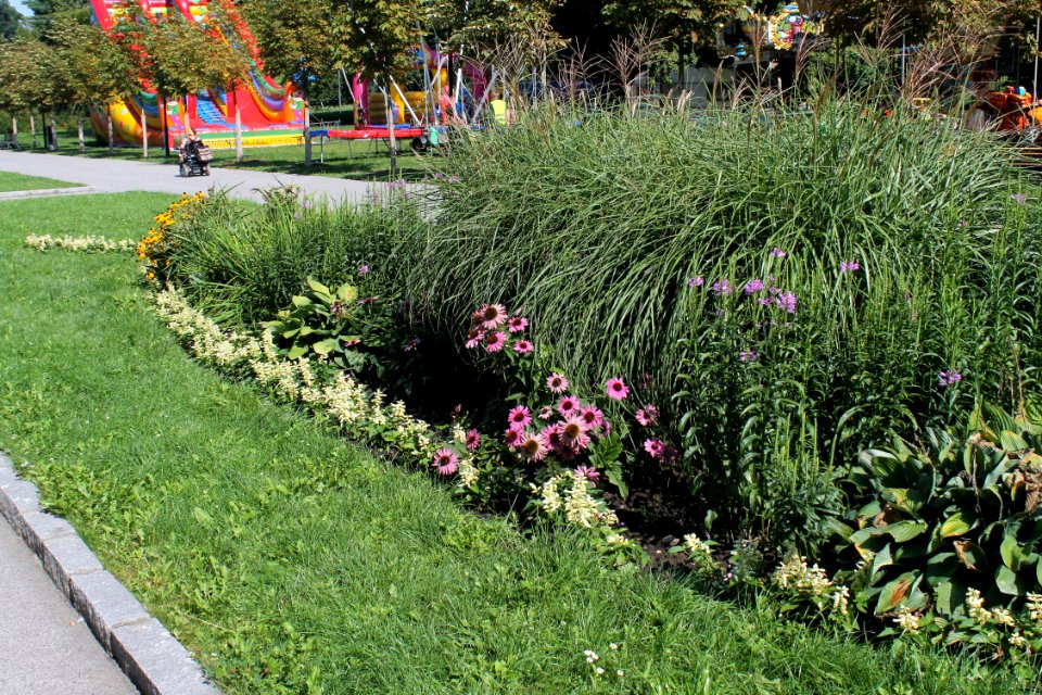 Flora Olomouc092