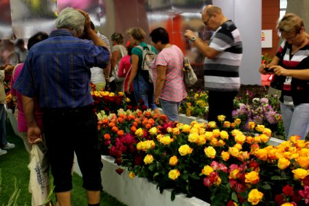 Flora Olomouc119