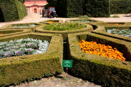 French garden (Dobříš)1704