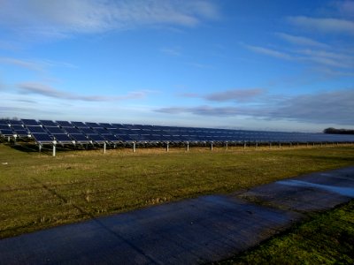 FreiflaechenSolarAhrensfeldeEiche