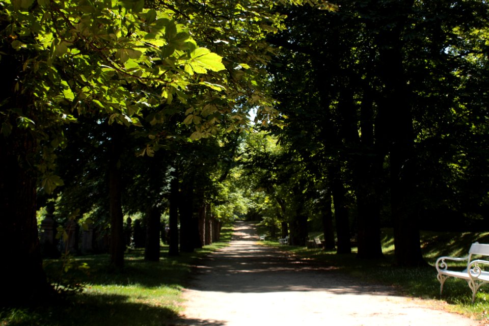 French garden (Dobříš) 1672