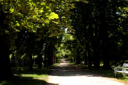 French garden (Dobříš) 1672