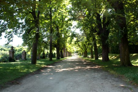 French garden (Dobříš) 1674