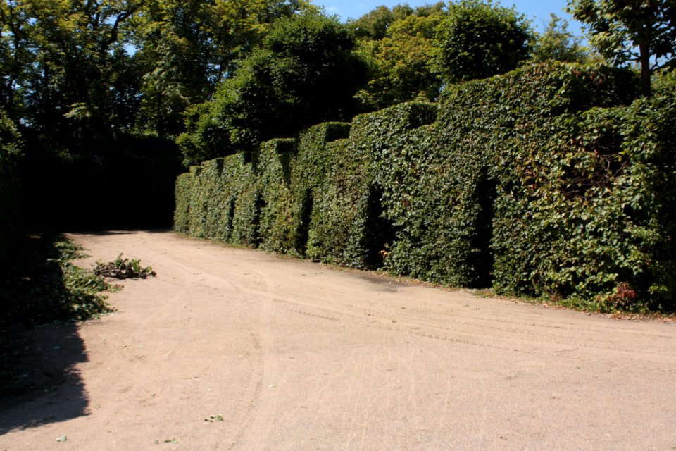 French garden (Dobříš)1708