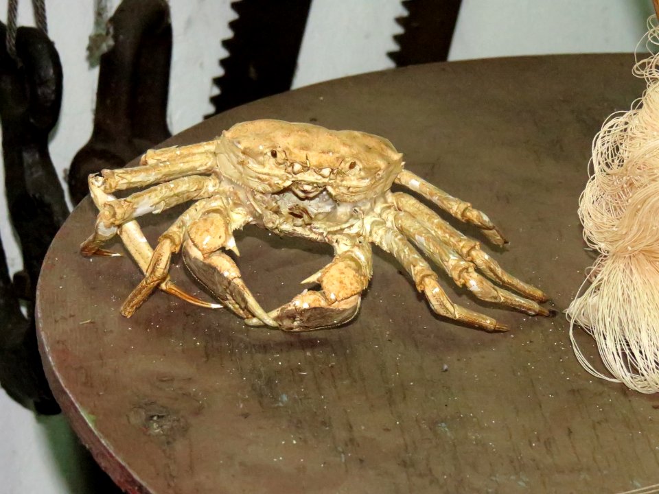 Fishery mini-muzeum 7