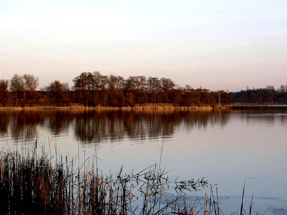 FischerinselTollensesee2