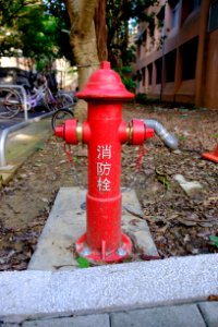 Fire Hydrant in NTU Taipei Campus 20151213