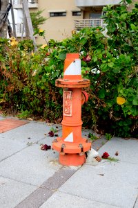 Fire Hydrant in Sidewalk of Hsinchu Air Force Base 20151121