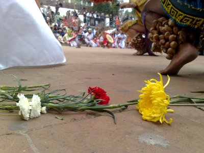 Flores amarilla roja y blanca