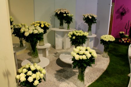 Flora 191