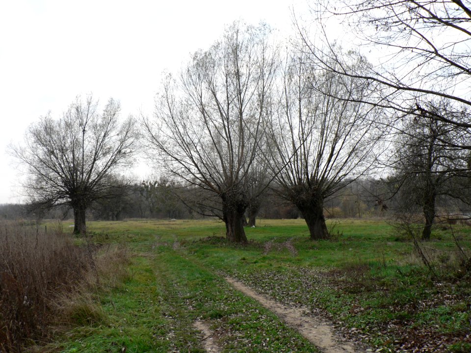 Gubnyk Village 2 Ukraine