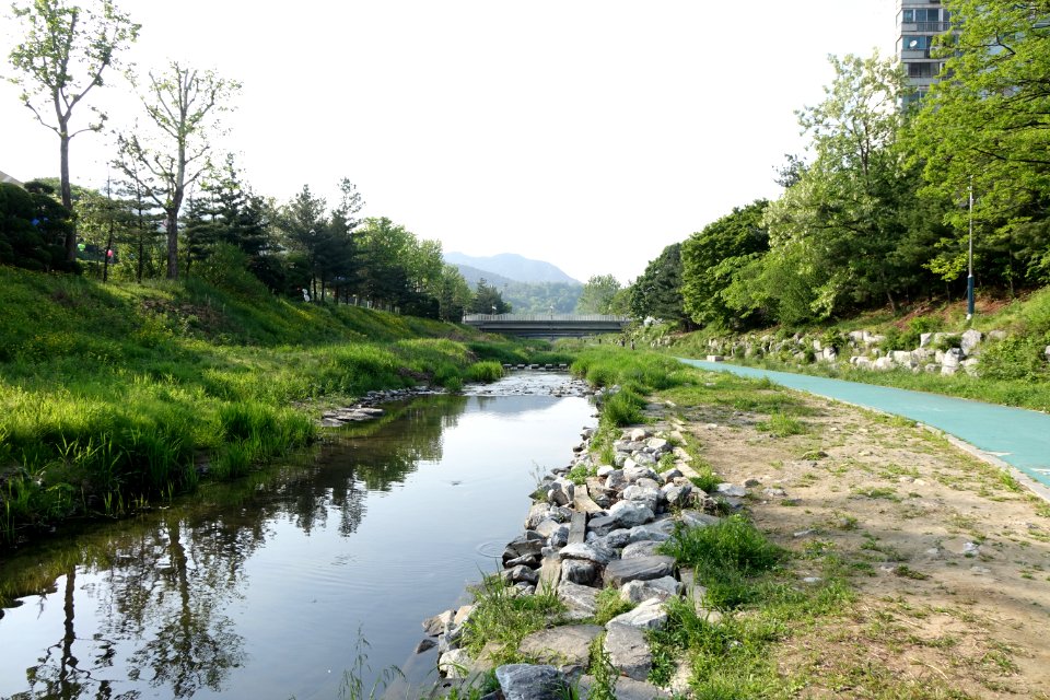Gwacheon, South Korea (DSC00417)
