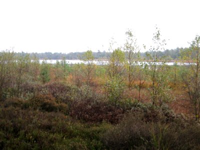 Grundloses Moor 4