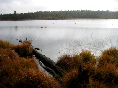 Grundloses Moor 2