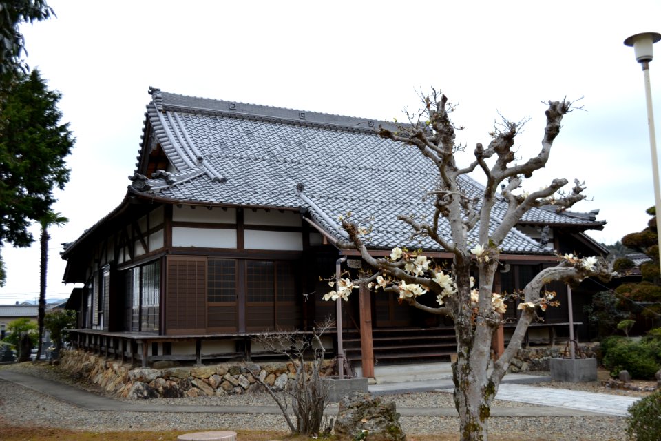 Hōkinzan Kyōfuku-ji Temple 04