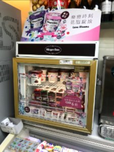 Häagen-Dazs Refrigerator at Family Mart Xindong Store 20180424