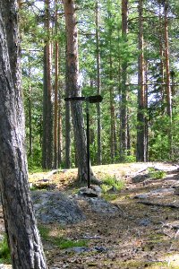 Häxberget, tresockenmötet