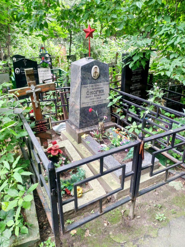 Grave of Andrey Ozhogin 1