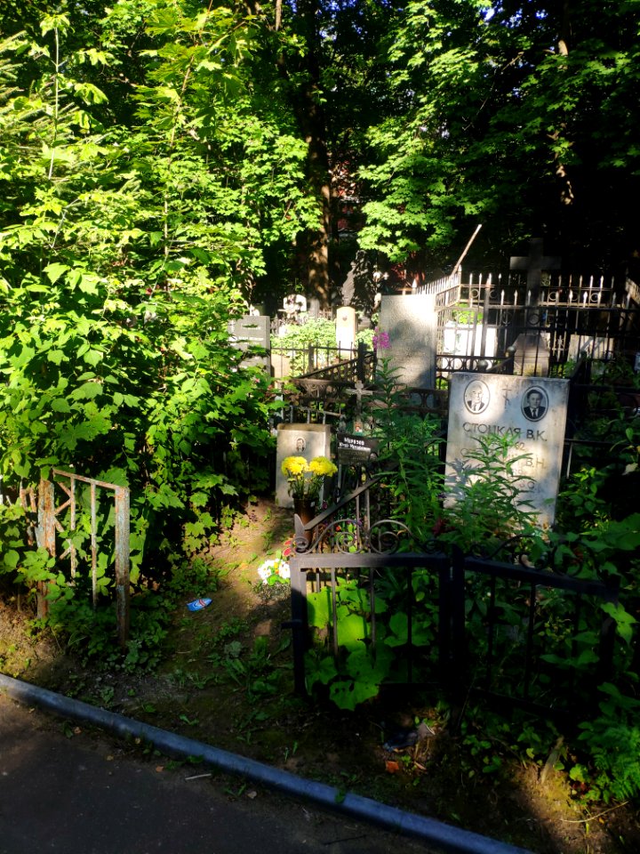 Grave of Alexander Chizhevsky 2