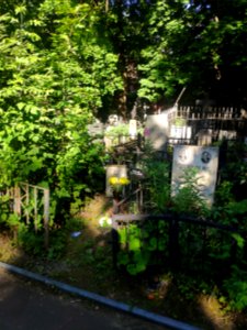 Grave of Alexander Chizhevsky 2